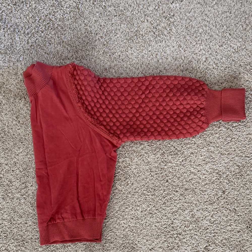 DOLAN Fringe Sweater Red Knit Large Anthropologie Terracotta Statement Sleeves - Picture 4 of 7